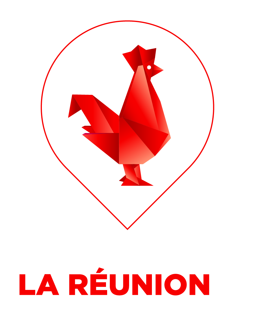 DX Consuting - adéhrent la French Tech réunion - Logo_FT_LaReunion_Blanc
