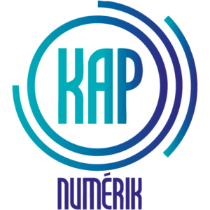 DX Consulting-kap numérik Réunion logo Kap Numérik