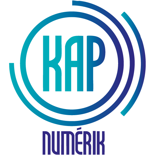 DX Consulting-kap numérik Réunion logo Kap Numérik